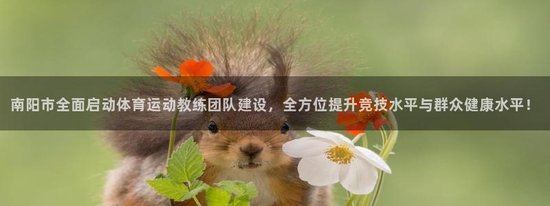 3377体育app官方下载