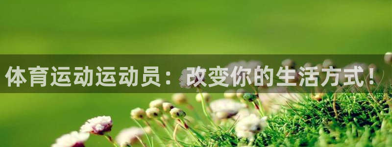 3377体育是正规的吗