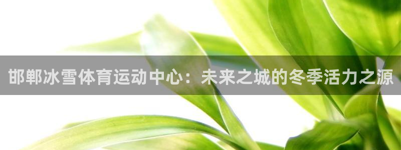 3377体育com