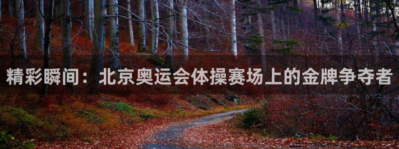 3377体育app下载安装：精彩瞬间：北京奥运会体操赛场上的金牌争夺者