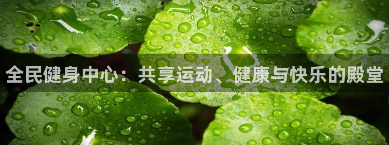 3377体育：全民健身中心：共享运动、健康与快乐的殿堂