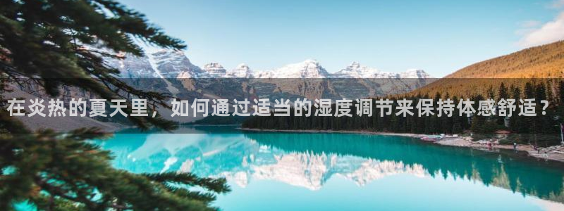 3377体育