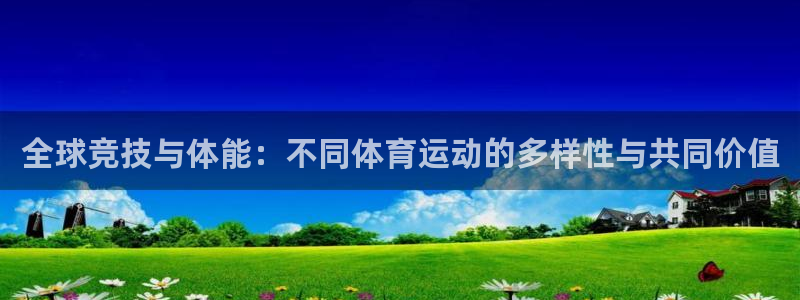 3377体育