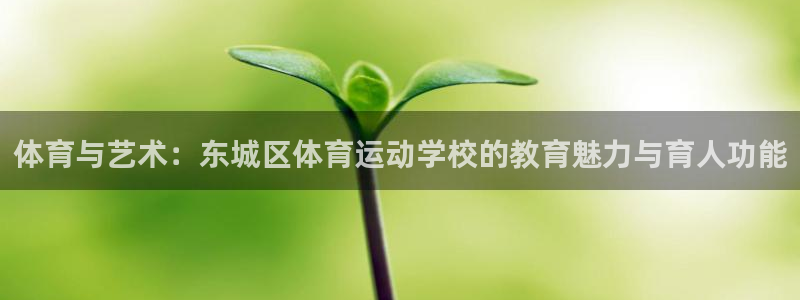 3377体育官网入口下载最新：体育与艺术：东城区体育运动学校的教育魅力与育人功能