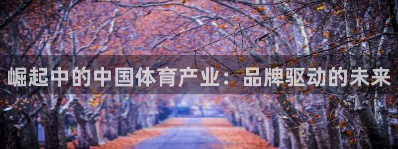 3377体育靠谱吗：崛起中的中国体育产业：品牌驱动的未来
