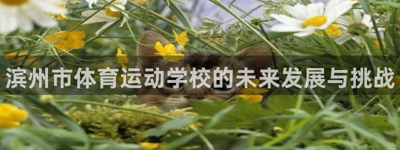 3377体育在线登录官网入口：滨州市体育运动学校的未来发展与挑战
